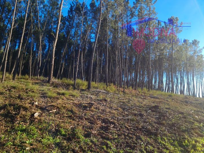 Image No.10-Plot for sale