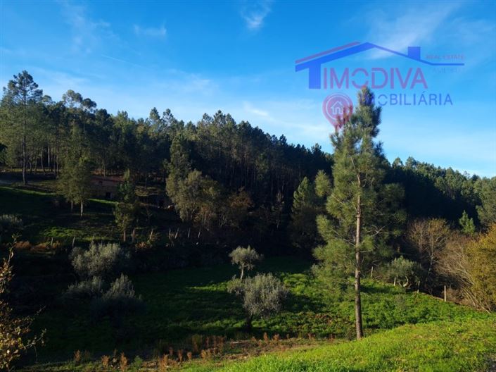 Image No.19-Plot for sale