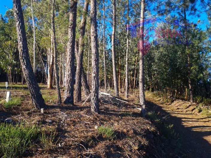 Image No.21-Plot for sale