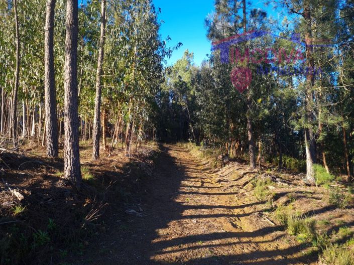 Image No.22-Plot for sale