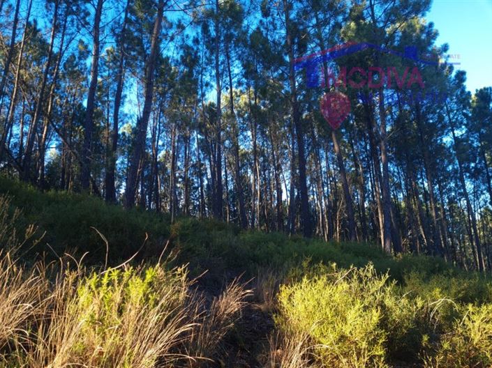 Image No.35-Plot for sale