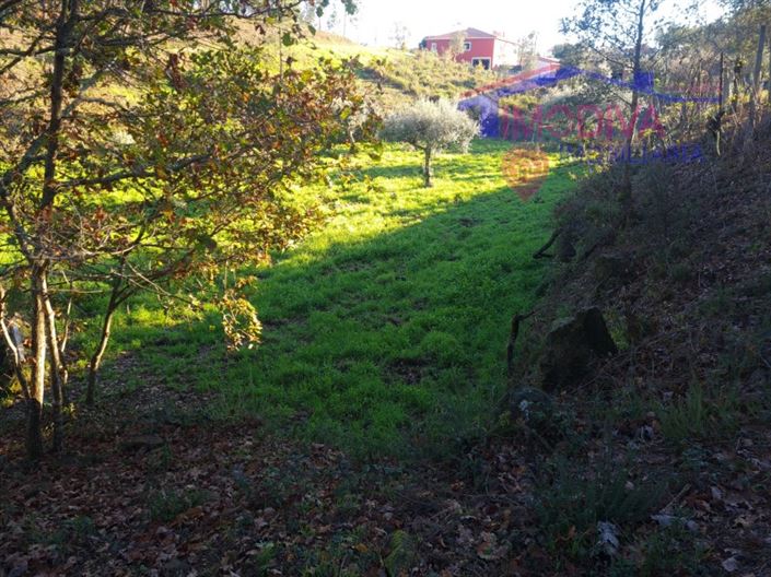 Image No.38-Plot for sale