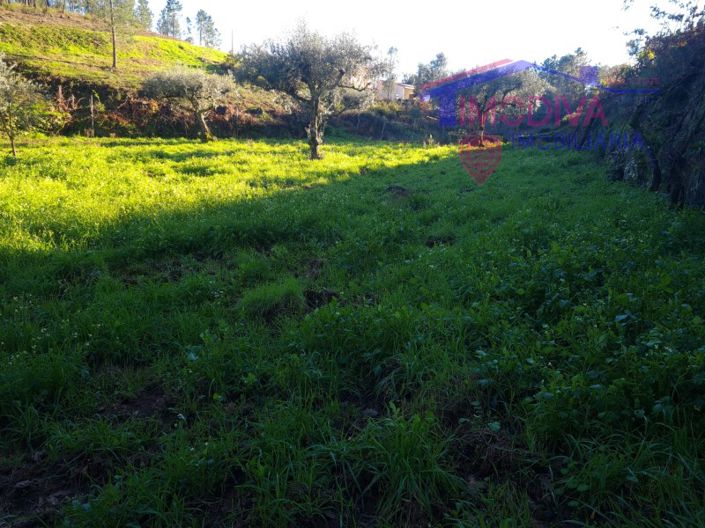 Image No.39-Plot for sale