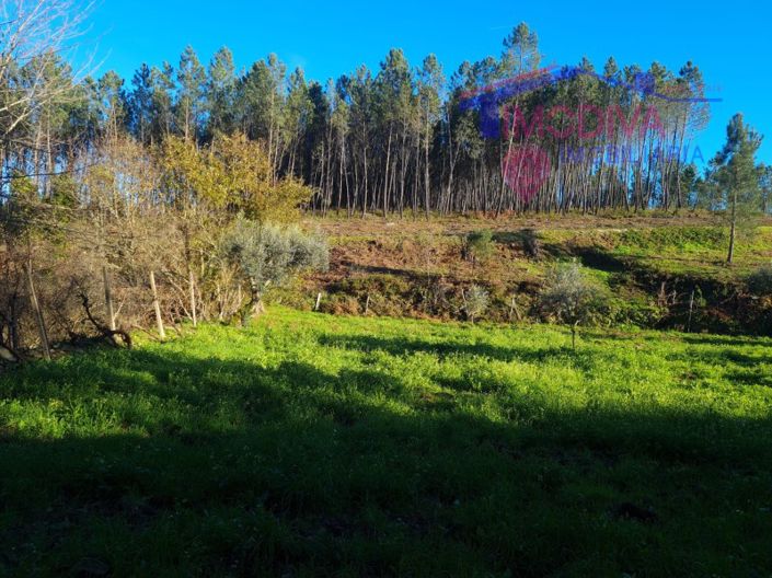 Image No.40-Plot for sale