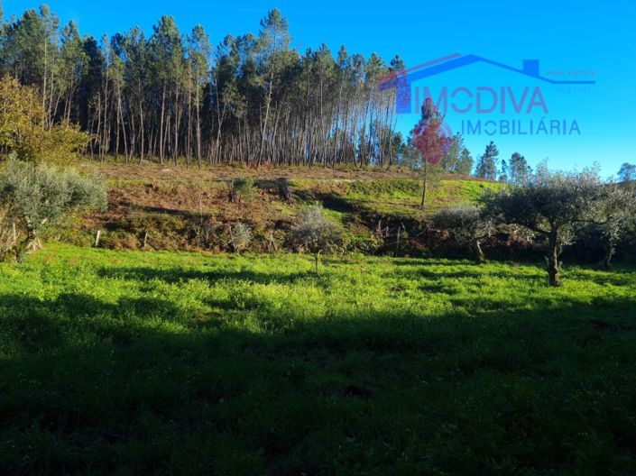 Image No.41-Plot for sale