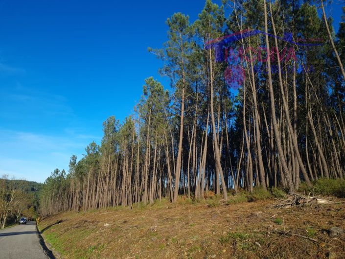 Image No.5-Plot for sale