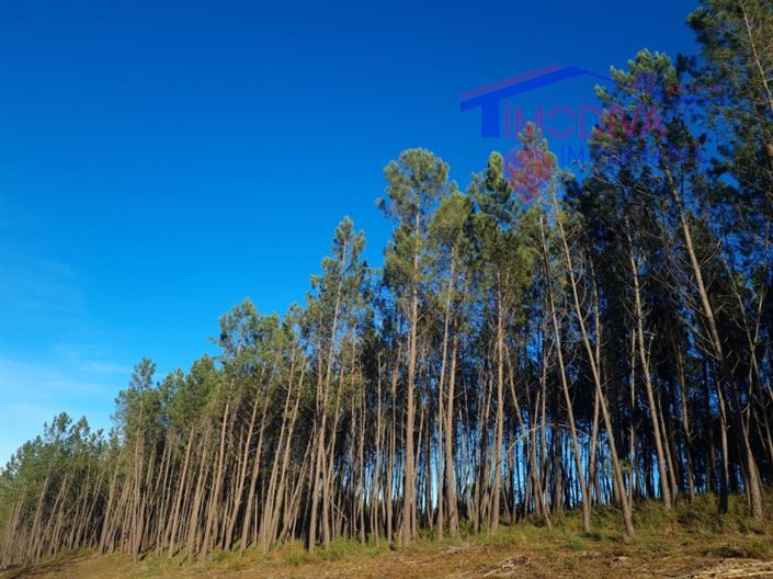 Image No.9-Plot for sale