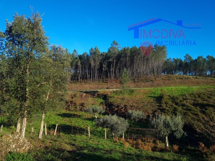 Image No.6-Plot for sale