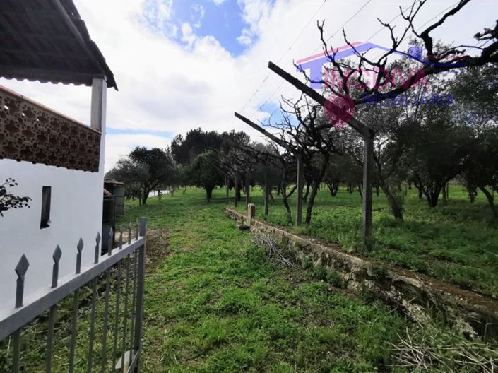 Image No.25-2 Bed House for sale