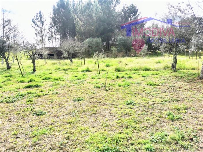 Image No.26-2 Bed House for sale