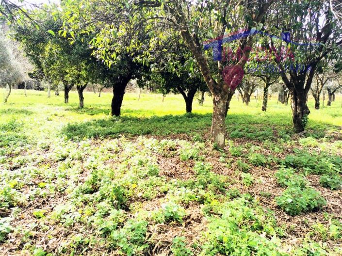 Image No.28-2 Bed House for sale