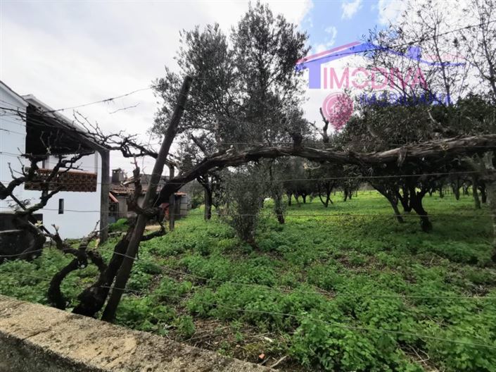 Image No.29-2 Bed House for sale