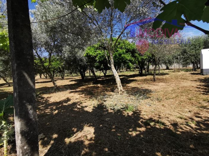 Image No.30-2 Bed House for sale