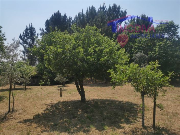 Image No.24-2 Bed House for sale