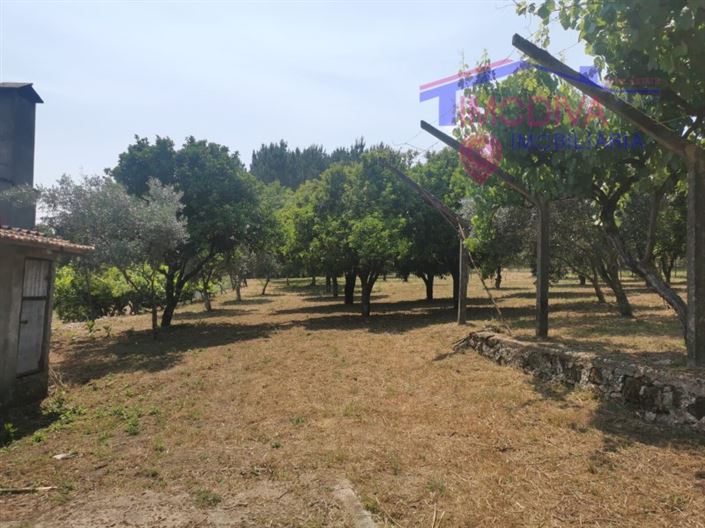 Image No.31-2 Bed House for sale