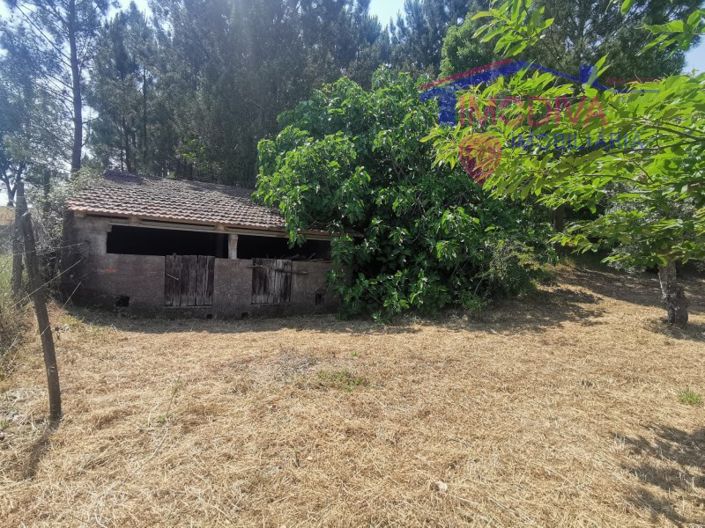 Image No.32-2 Bed House for sale