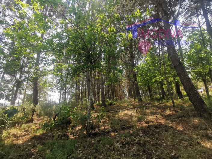 Image No.33-2 Bed House for sale