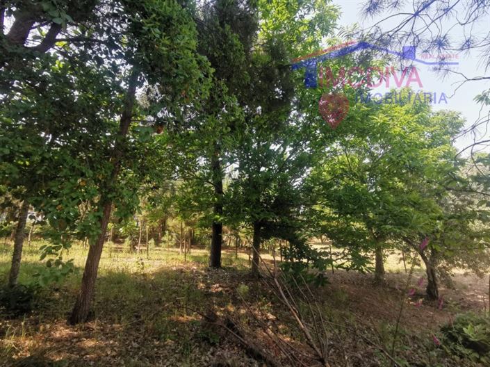 Image No.34-2 Bed House for sale