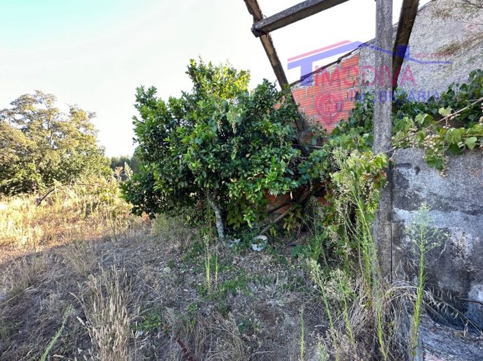 Image No.24-3 Bed House for sale