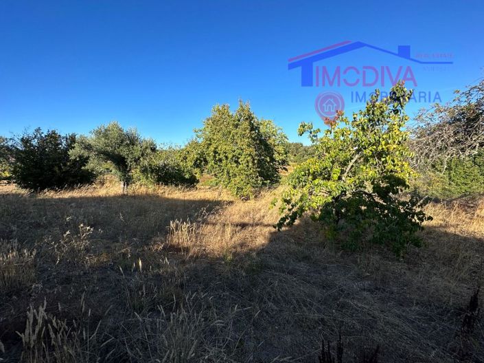 Image No.27-3 Bed House for sale