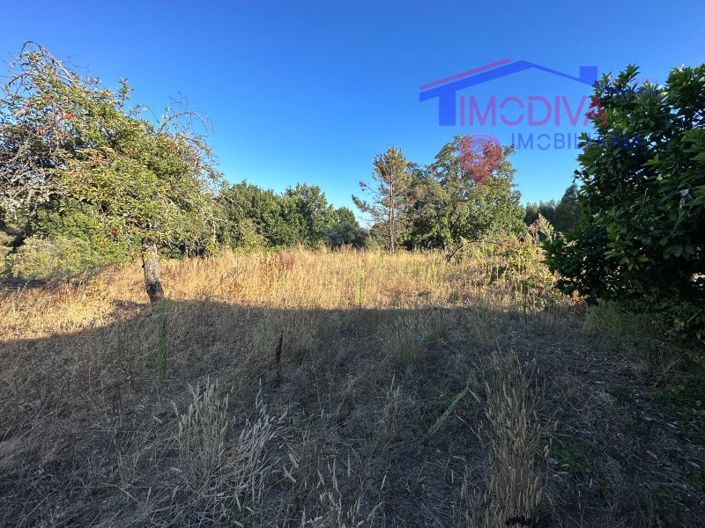 Image No.28-3 Bed House for sale