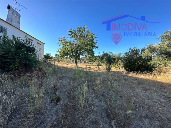 Image No.29-3 Bed House for sale