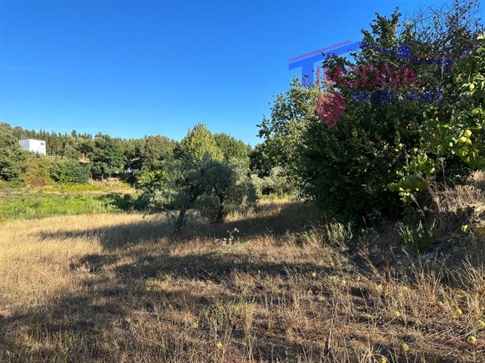 Image No.31-3 Bed House for sale