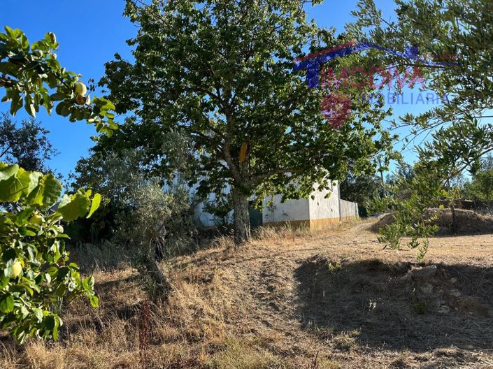 Image No.34-3 Bed House for sale