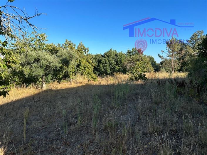 Image No.35-3 Bed House for sale