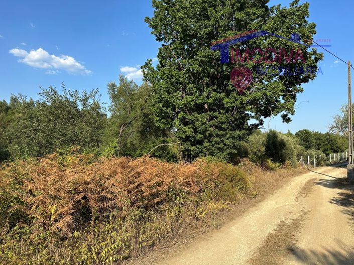 Image No.23-House for sale