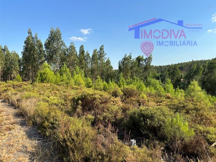 Image No.25-House for sale