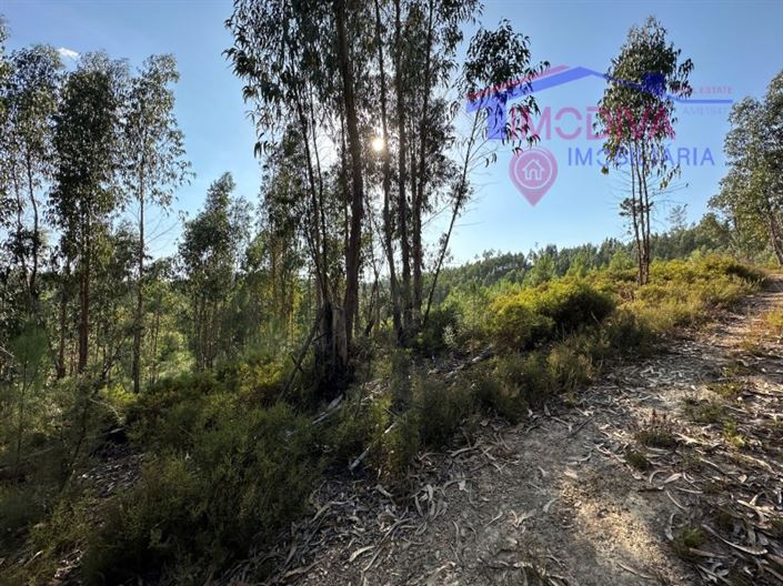 Image No.28-House for sale