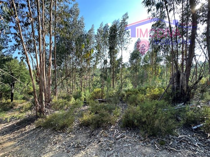 Image No.29-House for sale