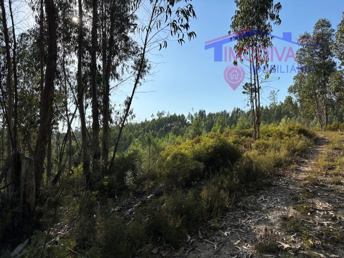 Image No.27-House for sale