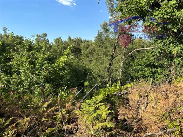 Image No.32-House for sale