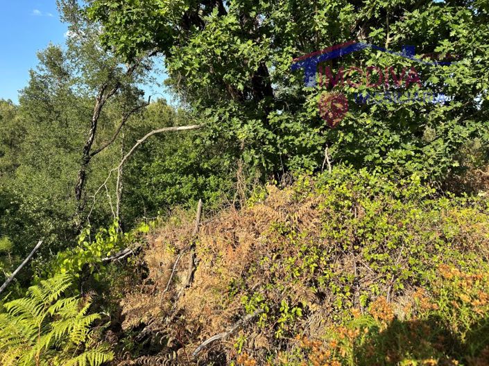 Image No.31-House for sale