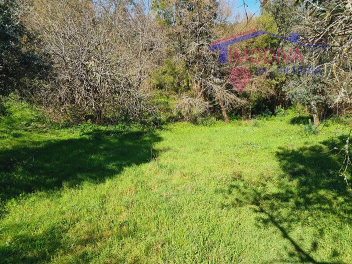 Image No.25-5 Bed House for sale