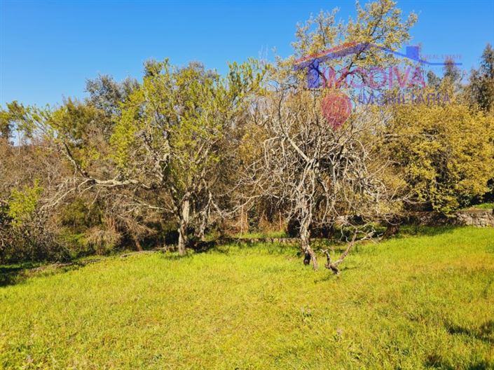 Image No.26-5 Bed House for sale