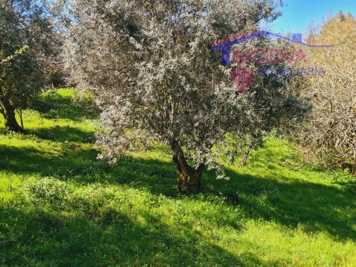 Image No.27-5 Bed House for sale