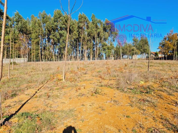 Image No.3-Plot for sale