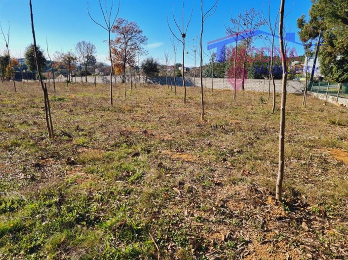 Image No.4-Plot for sale