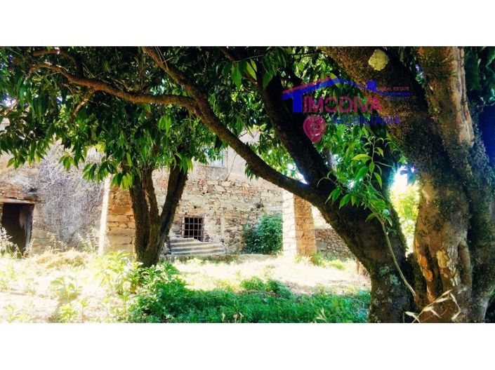 Image No.24-3 Bed House for sale