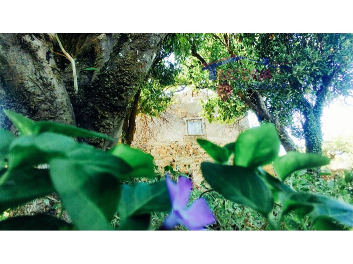 Image No.29-3 Bed House for sale