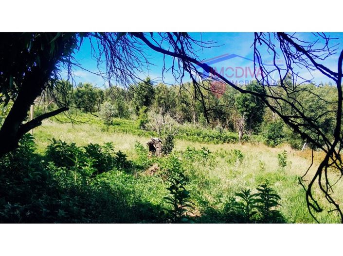 Image No.31-3 Bed House for sale