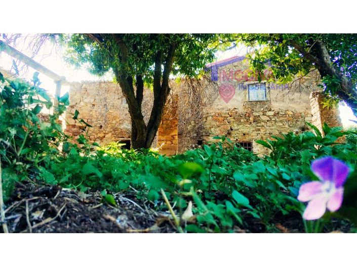 Image No.4-3 Bed House for sale