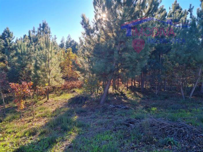 Image No.13-Plot for sale