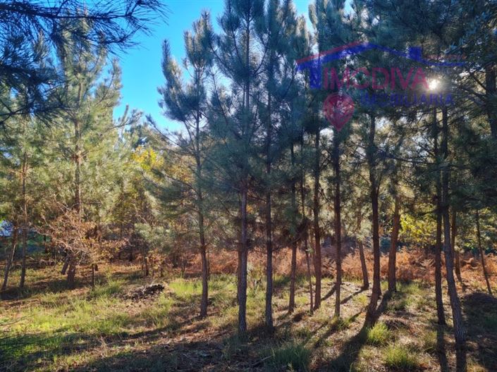 Image No.14-Plot for sale