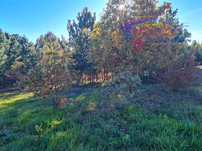 Image No.15-Plot for sale