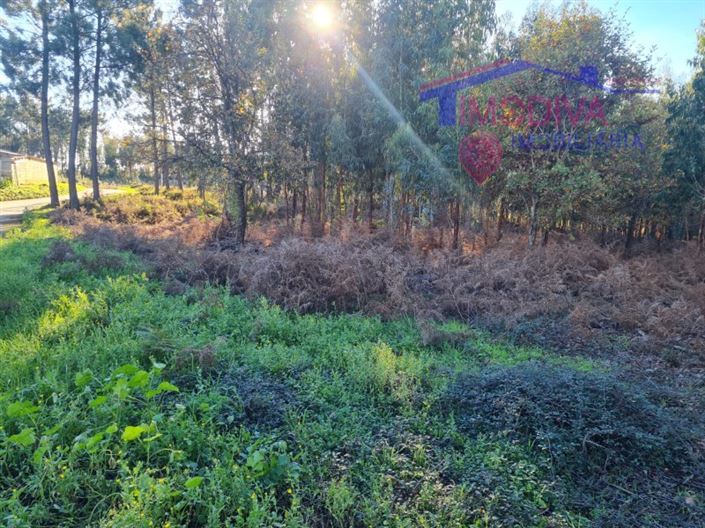 Image No.19-Plot for sale