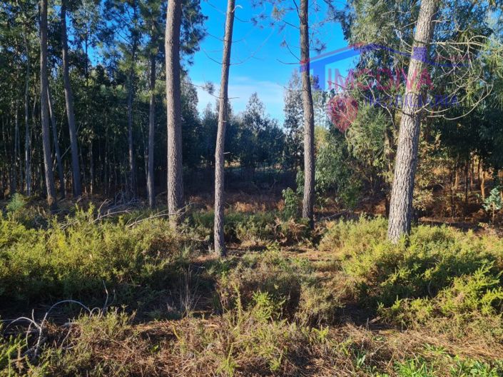 Image No.20-Plot for sale